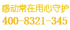 xindi保险柜
